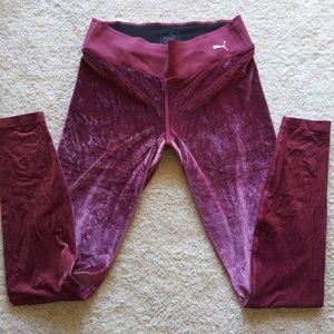 Puma Velvet Training Pants!